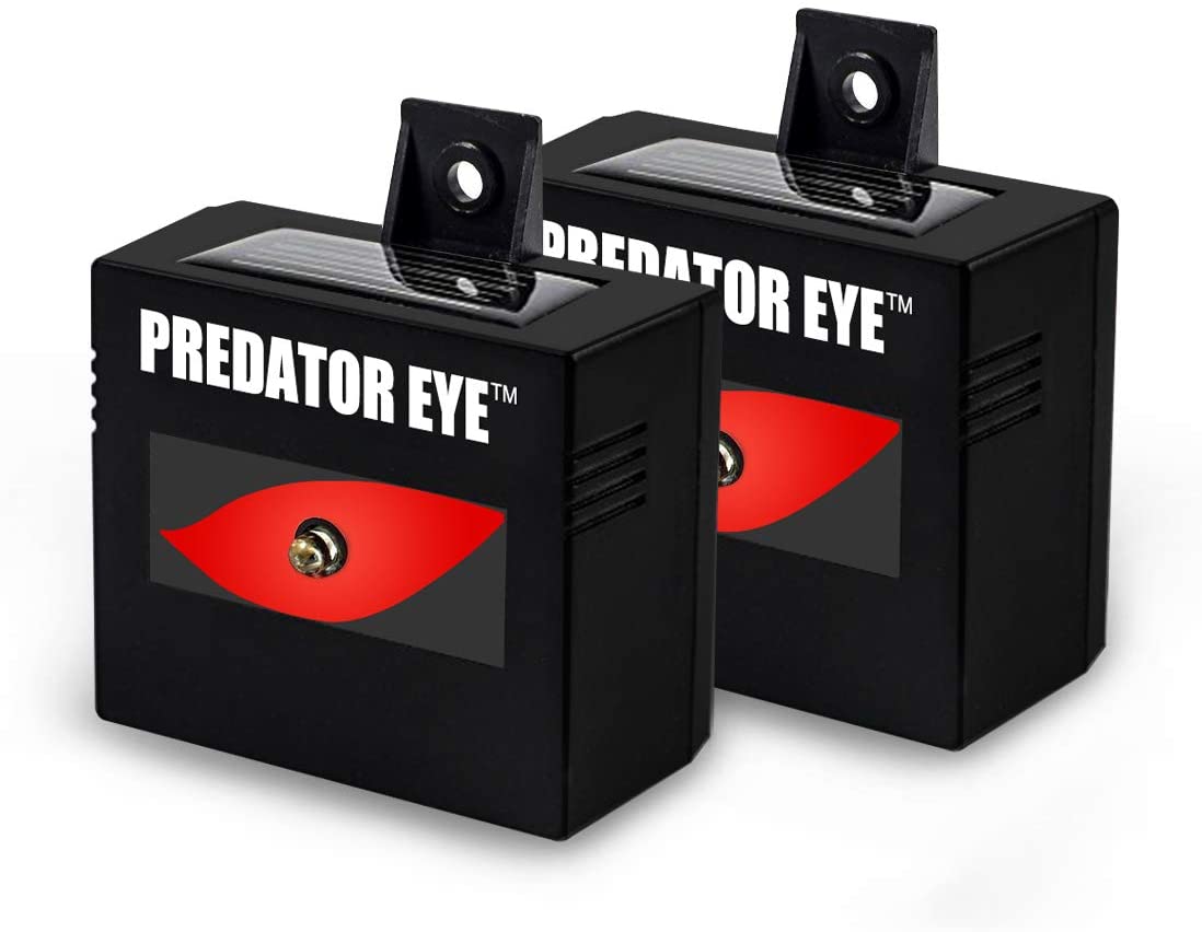 ASPECTEK Predator Eye Night Time